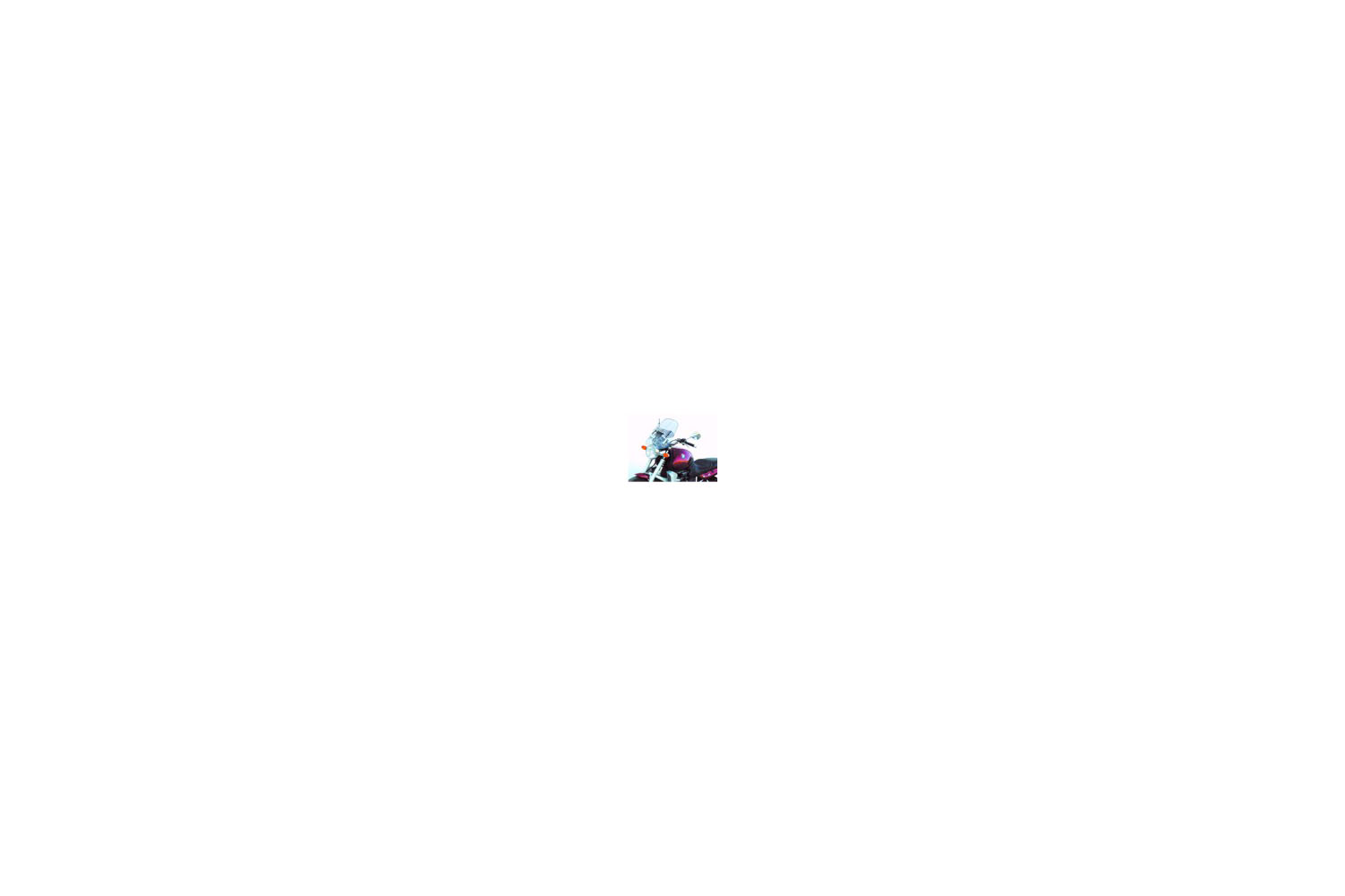 R1100 R