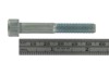 55 mm bolt example