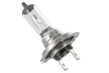 H7 55 Watt Bulb